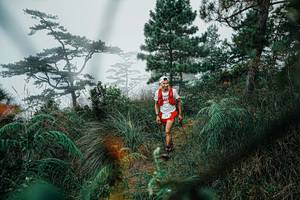 BIB: 
                            <button type="button" onclick="openModal(25258748)" class="btn btn-primary btn-sm float-right btn-popup" data-toggle="modal" data-target=".modal-high-quality">
                        <i class="fas fa-shopping-cart"></i> Add to Cart
                    </button>
                                            <button type="button" onclick="isThisMe(25258748, true)" class="btn btn-success btn-sm float-right btn-popup btn-isme hidden" data-toggle="tooltip" data-placement="bottom" title="นี่คือรูปของคุณใช่ไหม คลิกที่นี่เพื่อเอาเข้าอัลบั้ม">
                        <i class="fas fa-plus"></i> Add to album
                    </button>
                    <button type="button" onclick="isThisMe(25258748, false)" class="btn btn-warning btn-sm float-right btn-popup btn-isnotme hidden">
                        <i class="fas fa-ban"></i> Remove from album
                    </button>